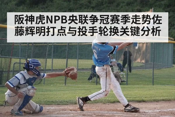 阪神虎NPB央联争冠赛季走势佐藤辉明打点与投手轮换关键分析