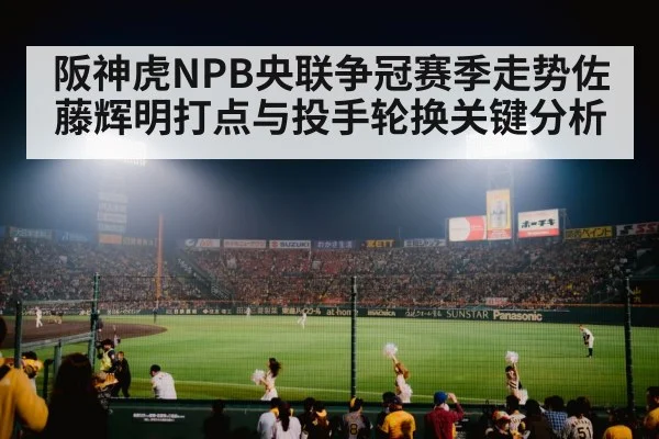 baseball stadium night crowd